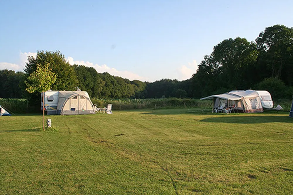 Minicamping Schaapskooi Mergelland