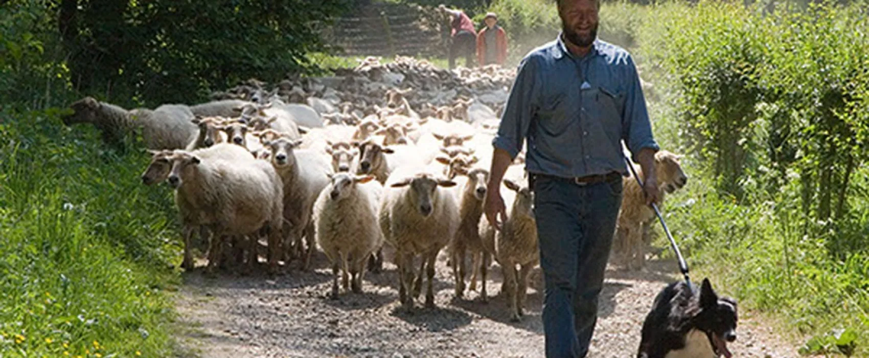 Minicamping Schaapskooi Mergelland