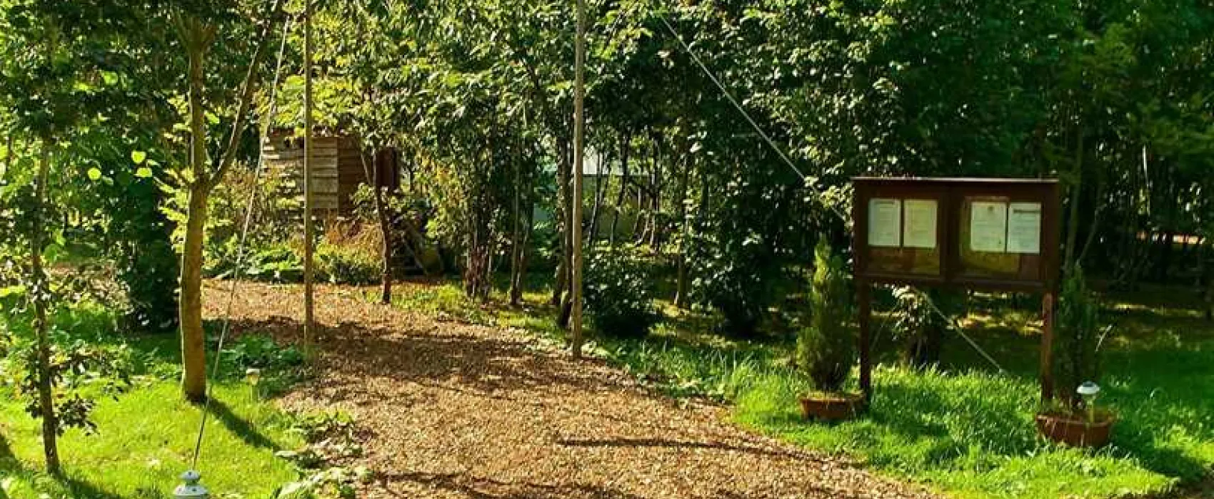 Silver Airstream Glamping