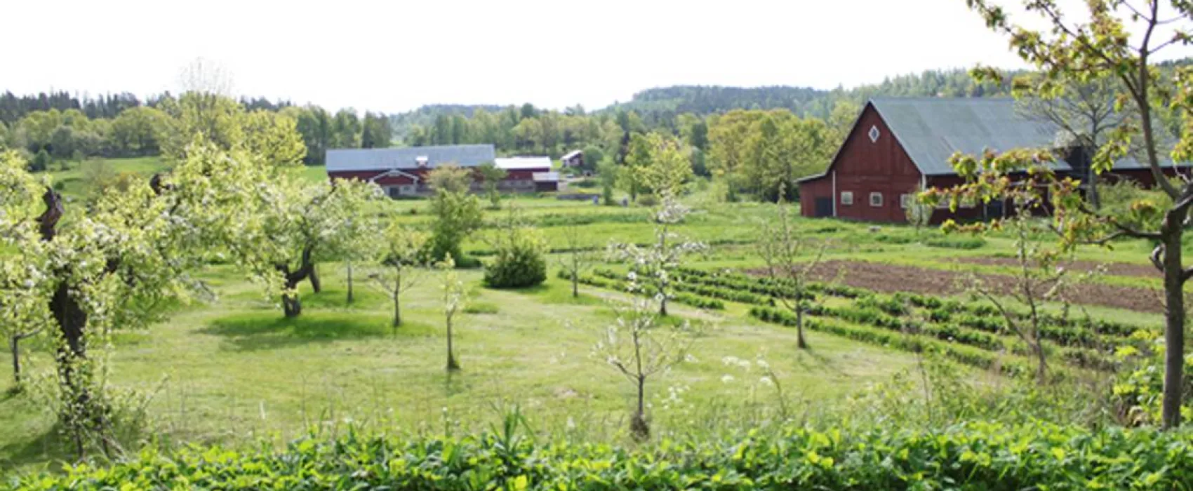 Vätterledens Camping