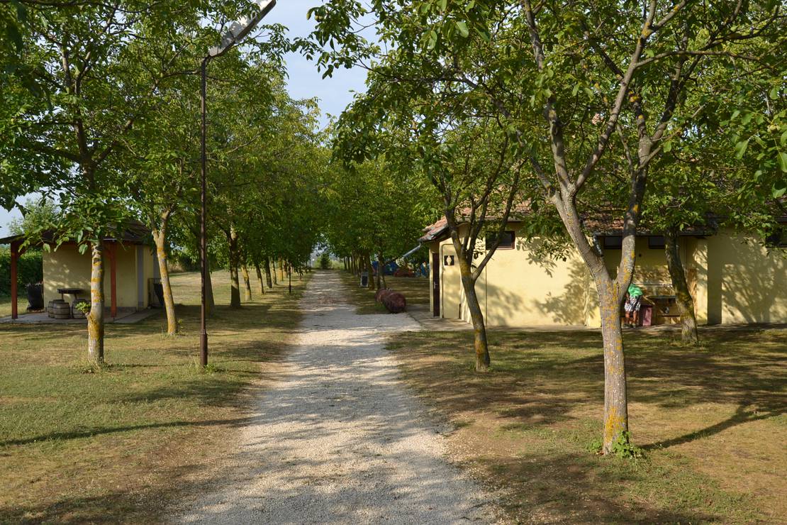 Diós Camping photo 2