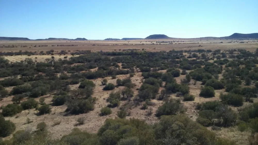 Kloofeind Caravan Lodge & Backpackers