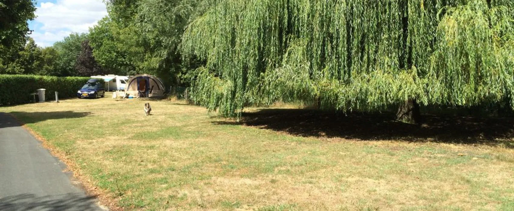 Municipal la Tete Noire