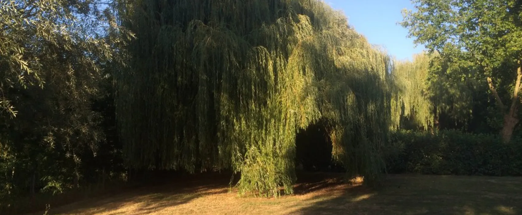 Municipal la Tete Noire