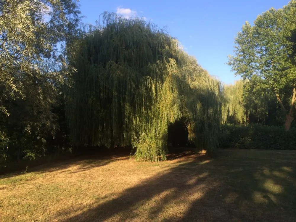 Municipal la Tete Noire