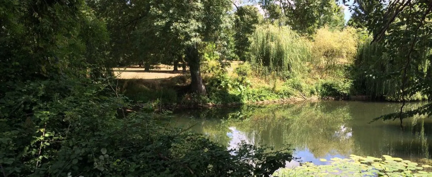 Municipal la Tete Noire