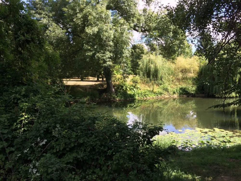 Municipal la Tete Noire