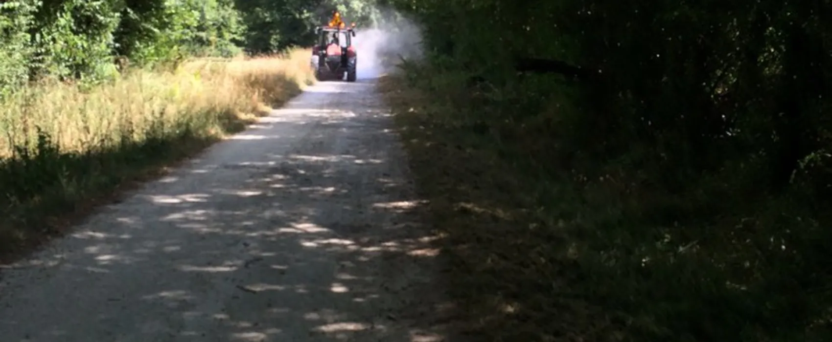 Municipal la Tete Noire