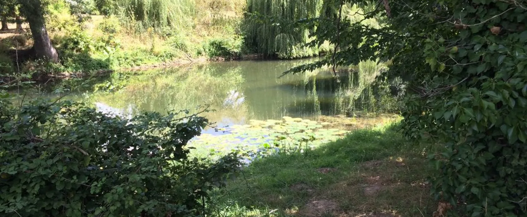 Municipal la Tete Noire