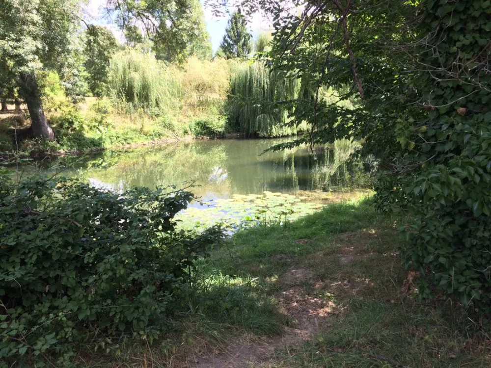 Municipal la Tete Noire