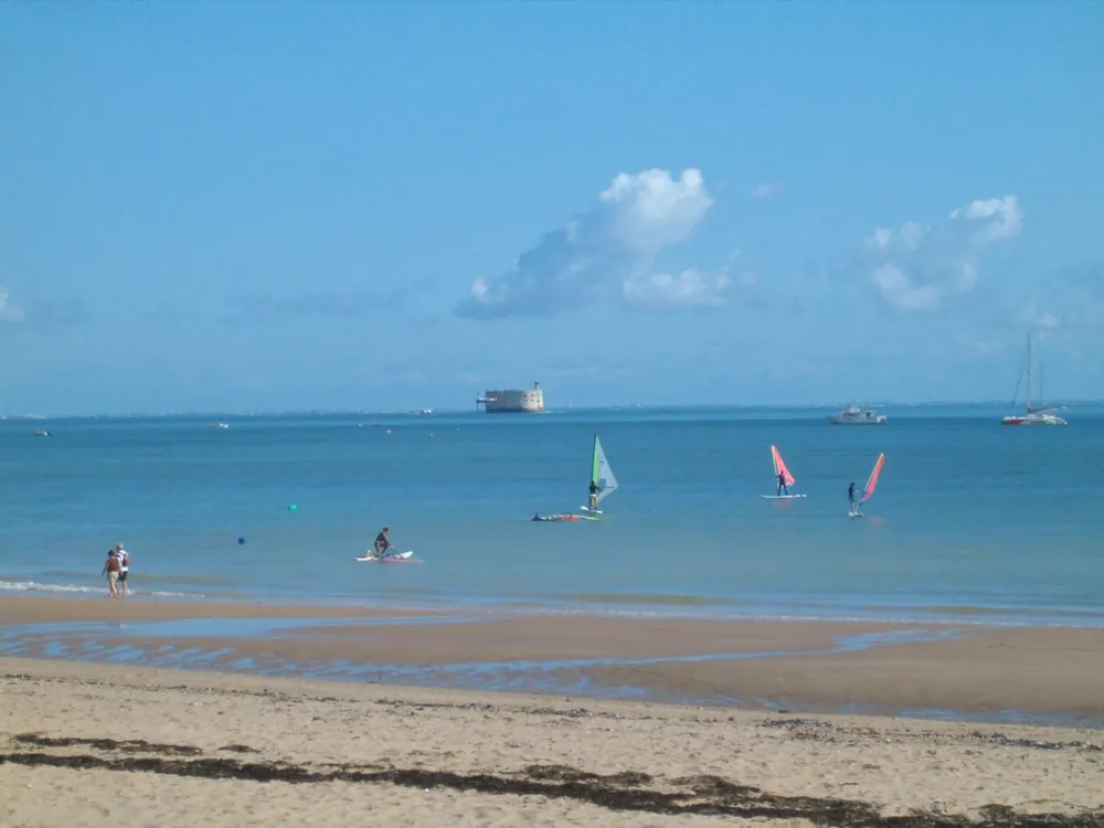 Au Petit Port de l' Houmeau