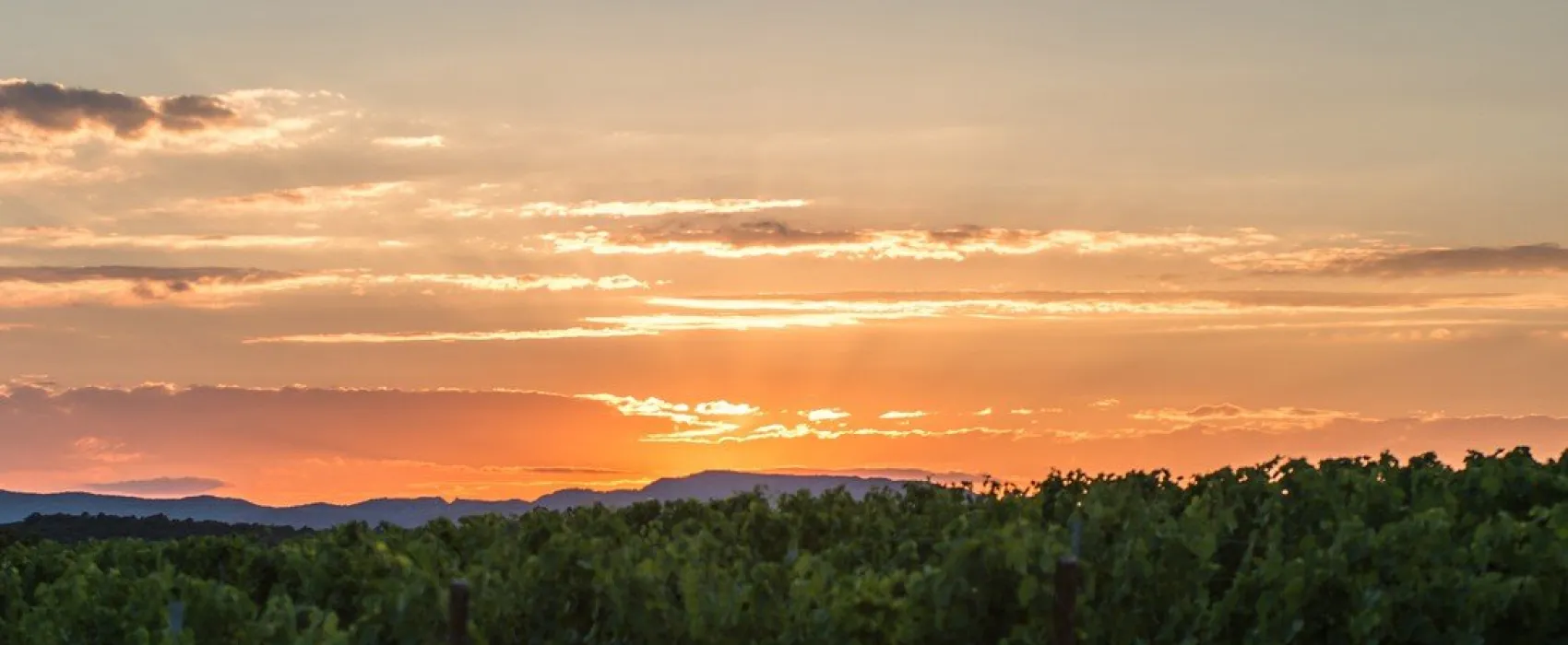 Camping la Rouillere