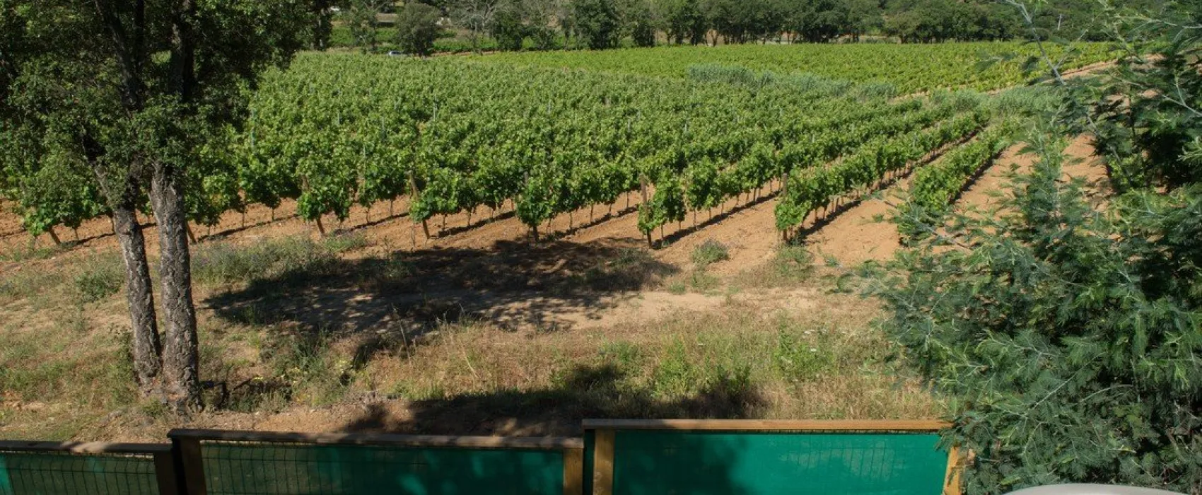 Camping la Rouillere