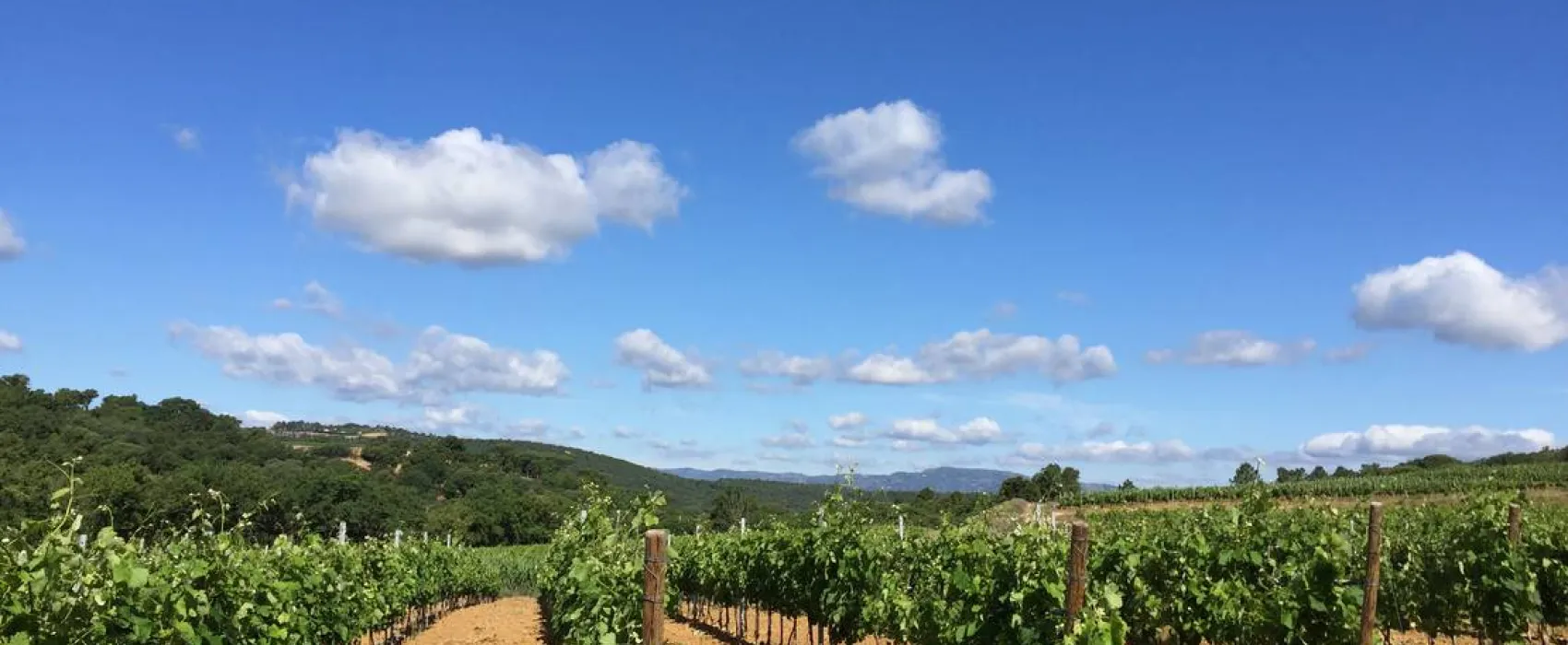 Camping la Rouillere