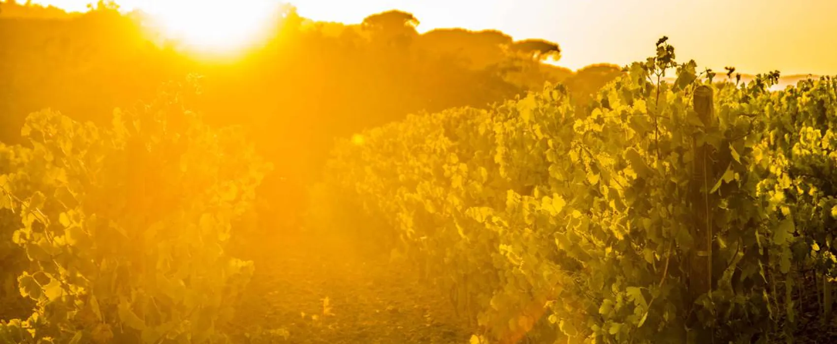 Camping la Rouillere