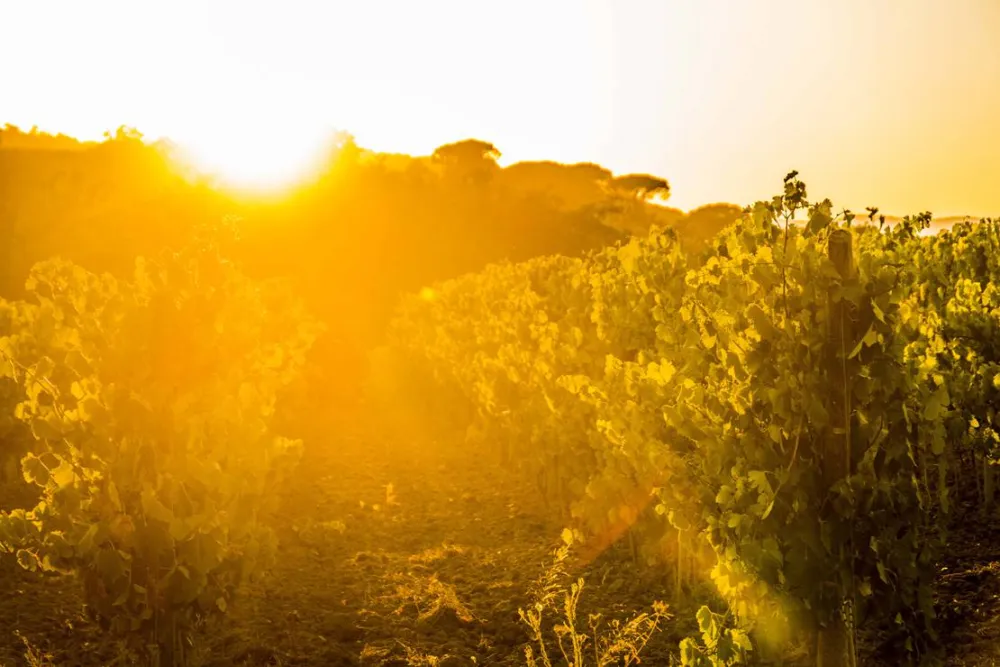 Camping la Rouillere