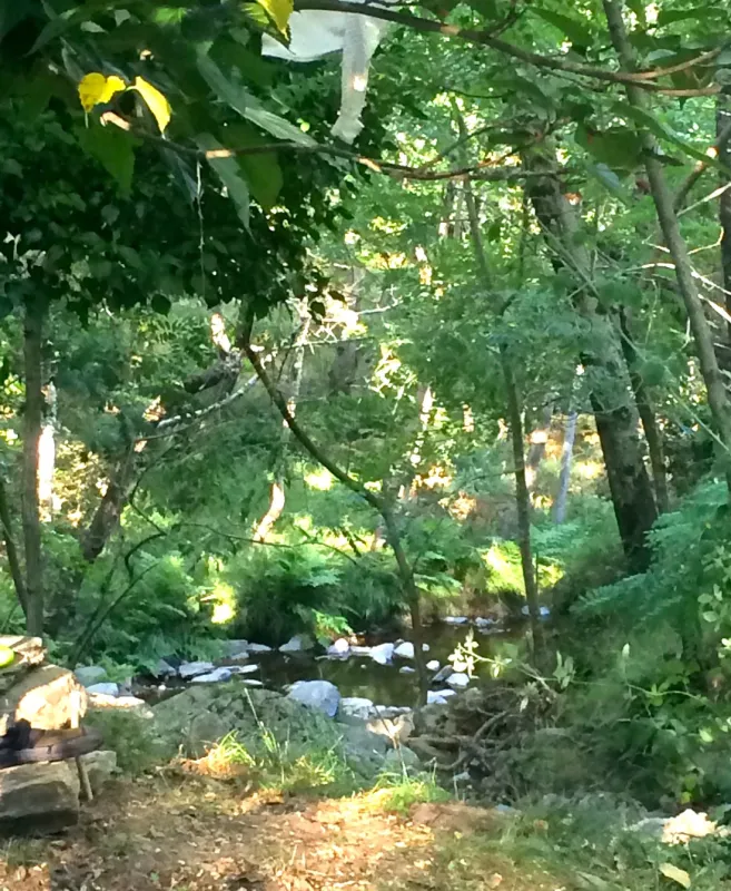 Le Moulin de Gournier