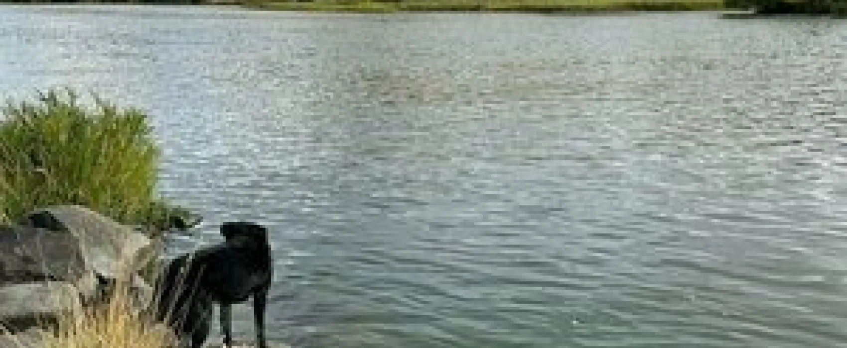 Deschutes River State Recreation Area