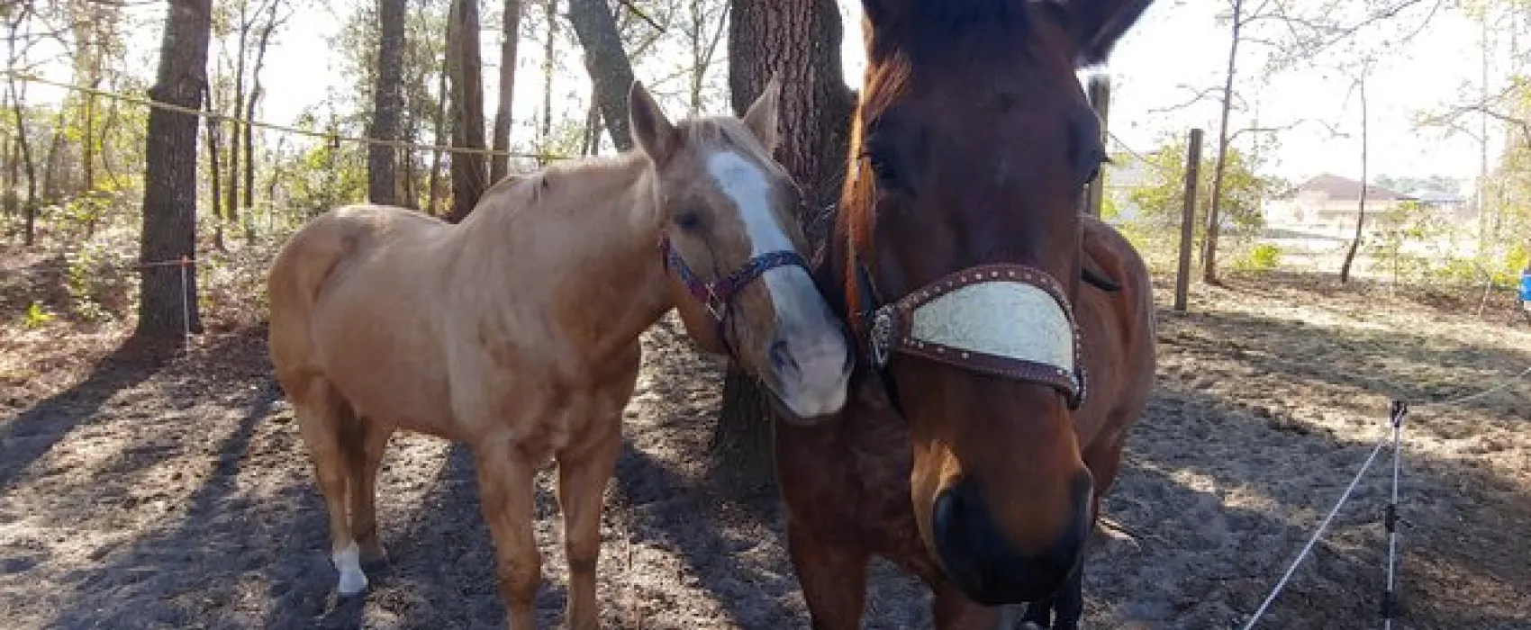 Shangri-La Trailhead & Campground