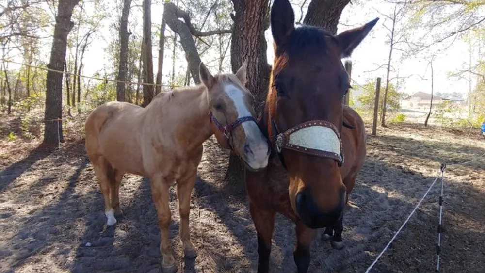Shangri-La Trailhead & Campground