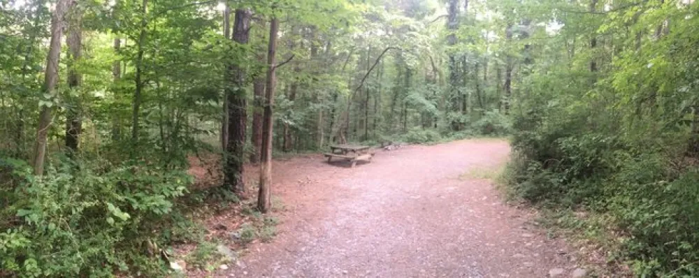 Camp Taylor Campground