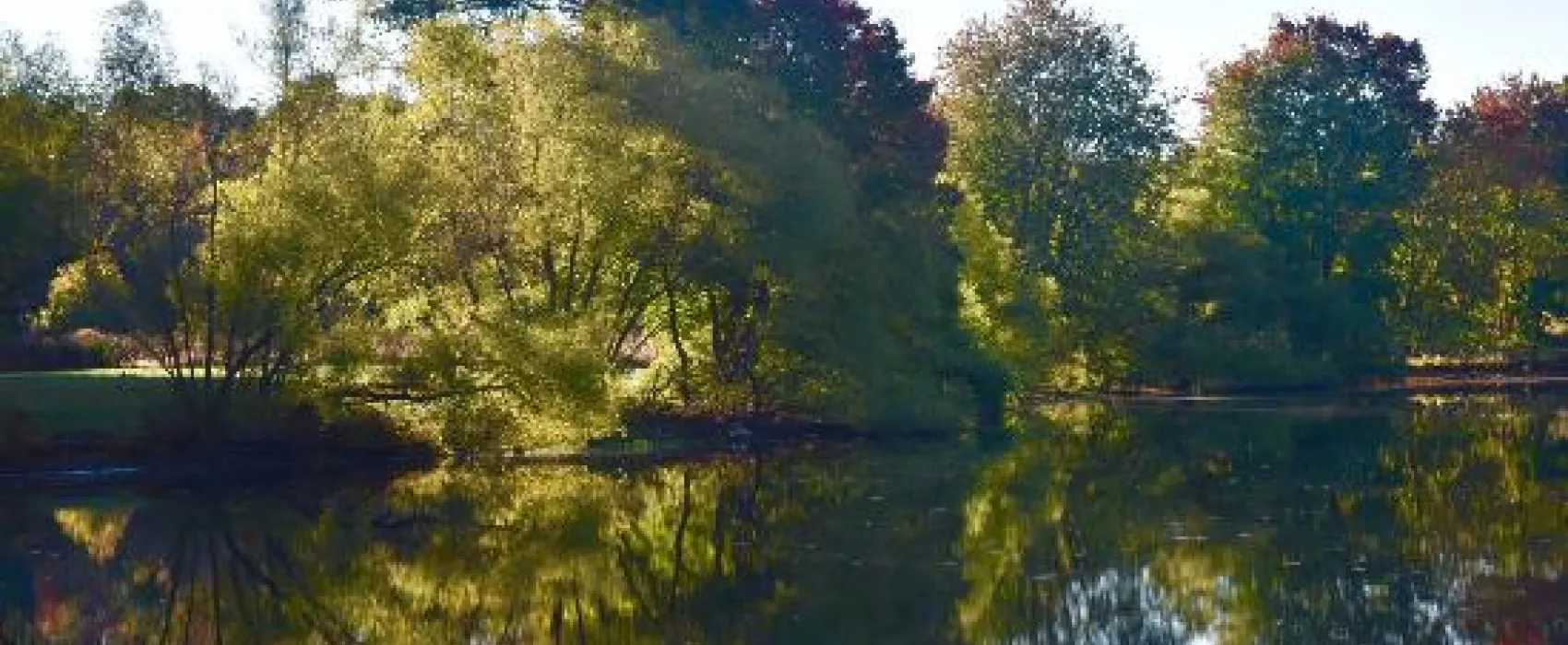 Turkey Swamp Park Campgrounds