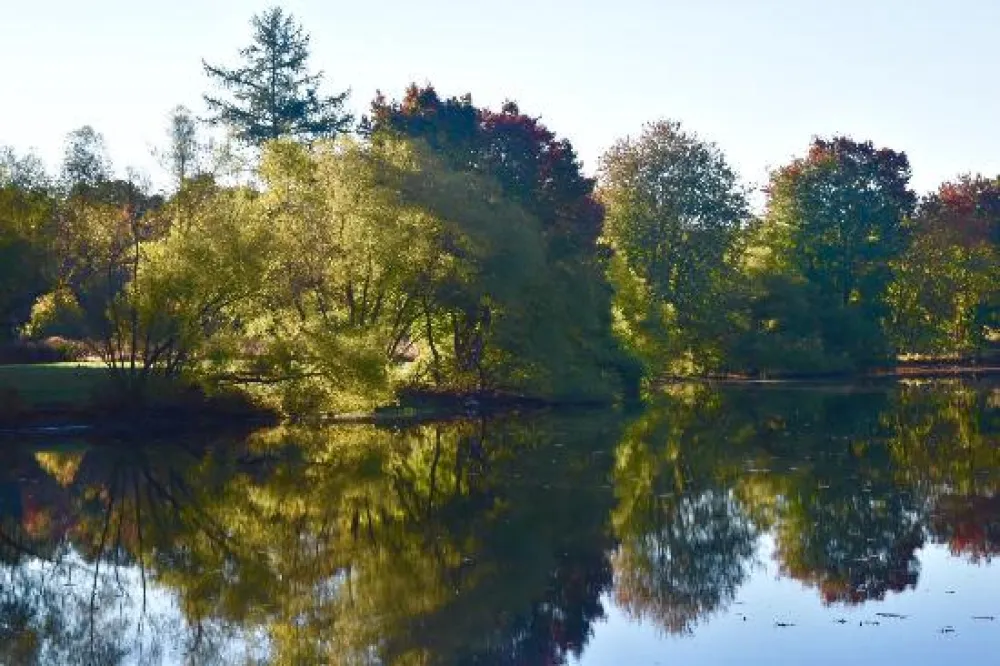 Turkey Swamp Park Campgrounds