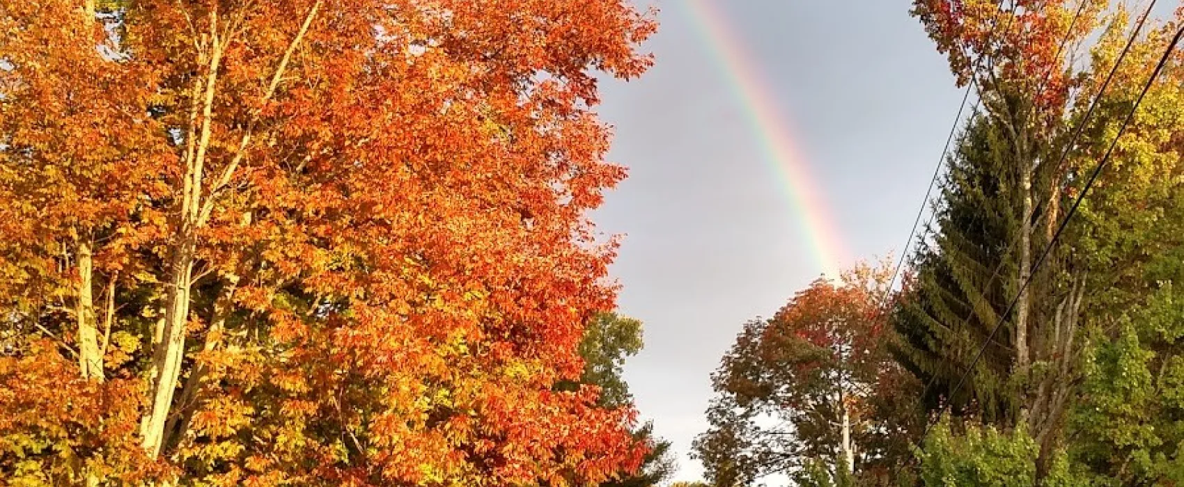 Alps Family Campground