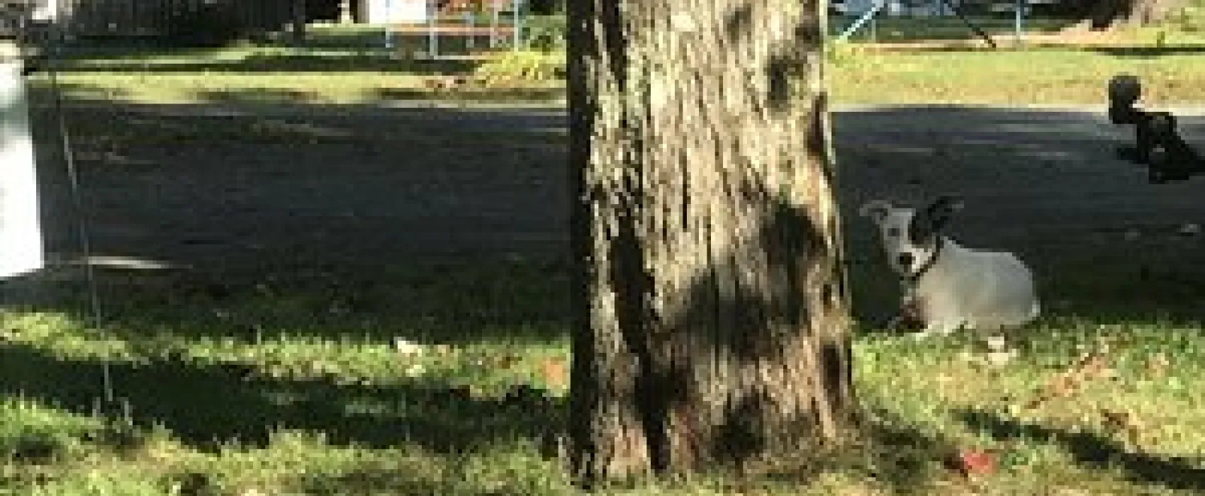 Alps Family Campground