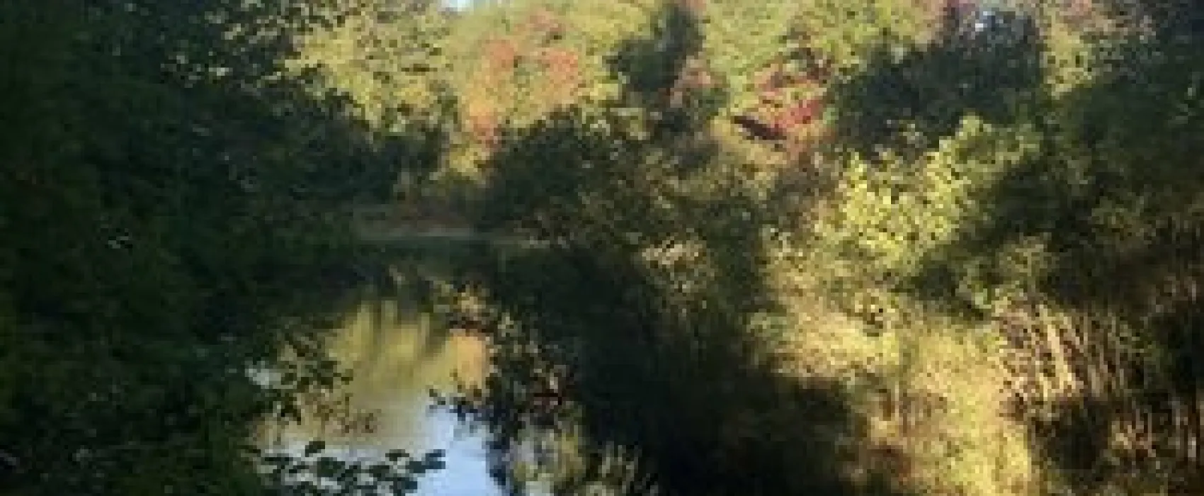 Alps Family Campground