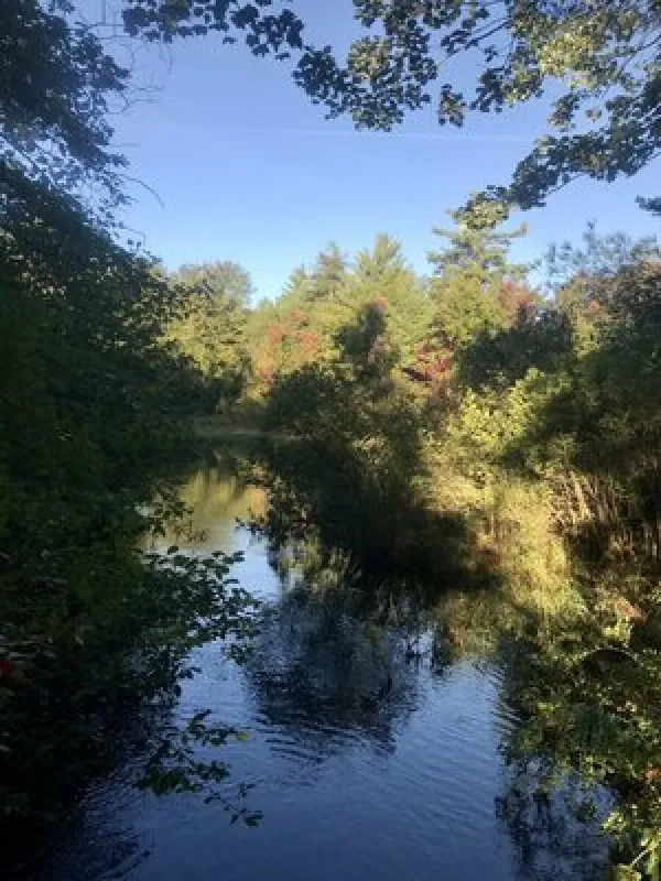 Alps Family Campground