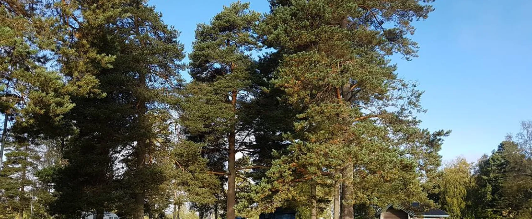 Nås Camping Dalarna