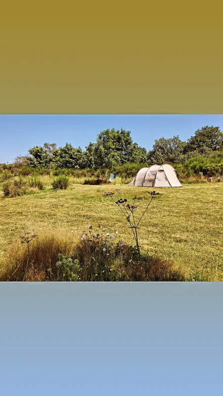 Domaine des Rêves (  Roulottes + Camping nature )