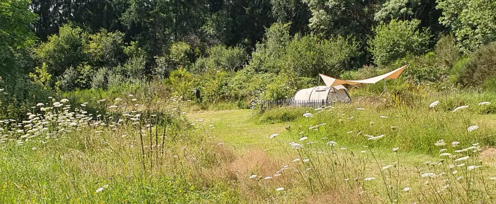 Domaine des Rêves (  Roulottes + Camping nature )