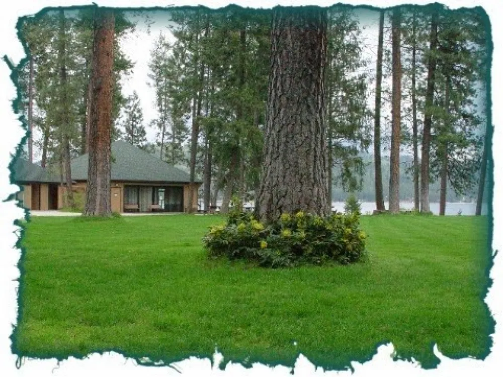 Deer Lake Resort