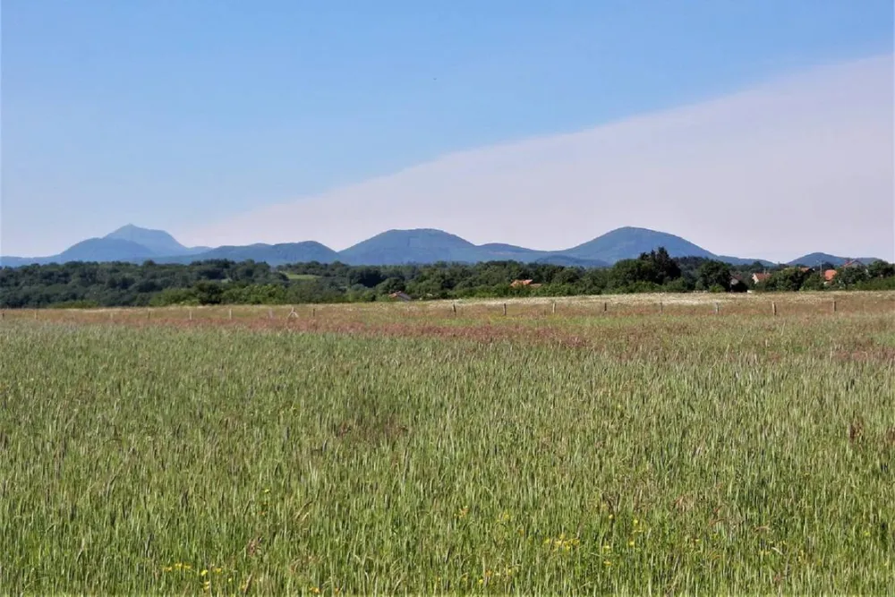 Camping du Colombier ***