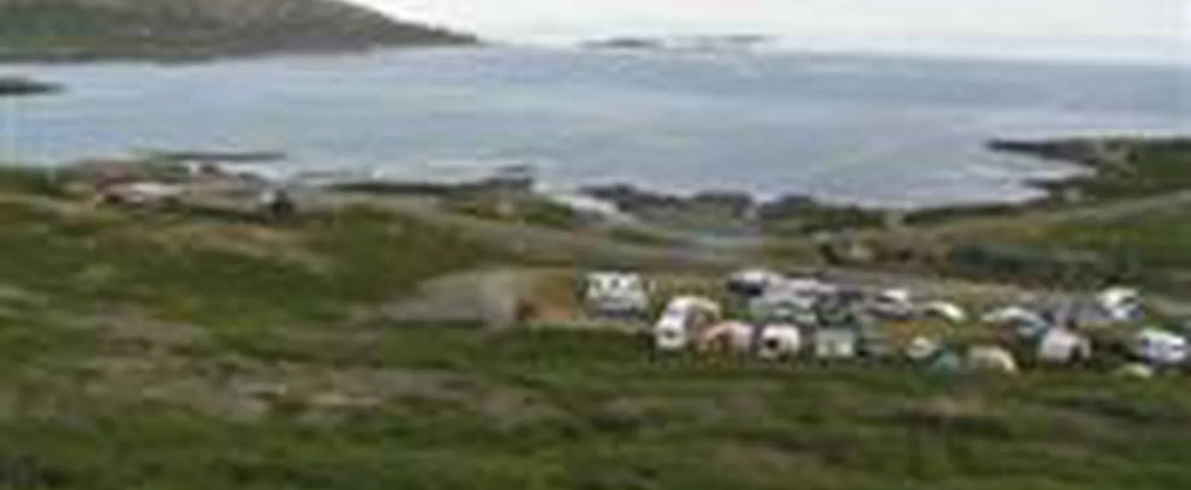 Tjaldsvæðið Hótel Flókalundi