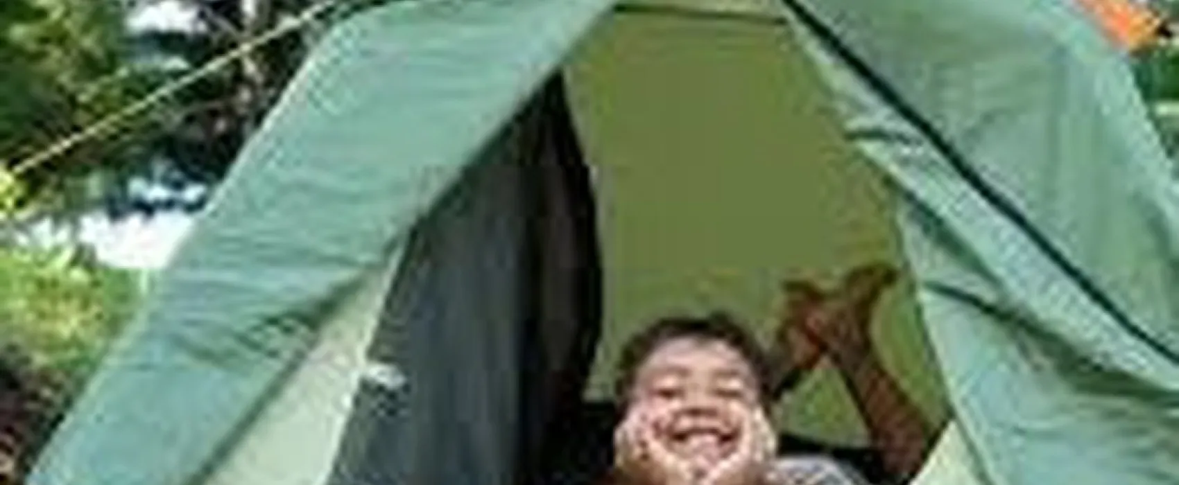 AIRE NATURELLE DE CAMPING LES CERISIERS