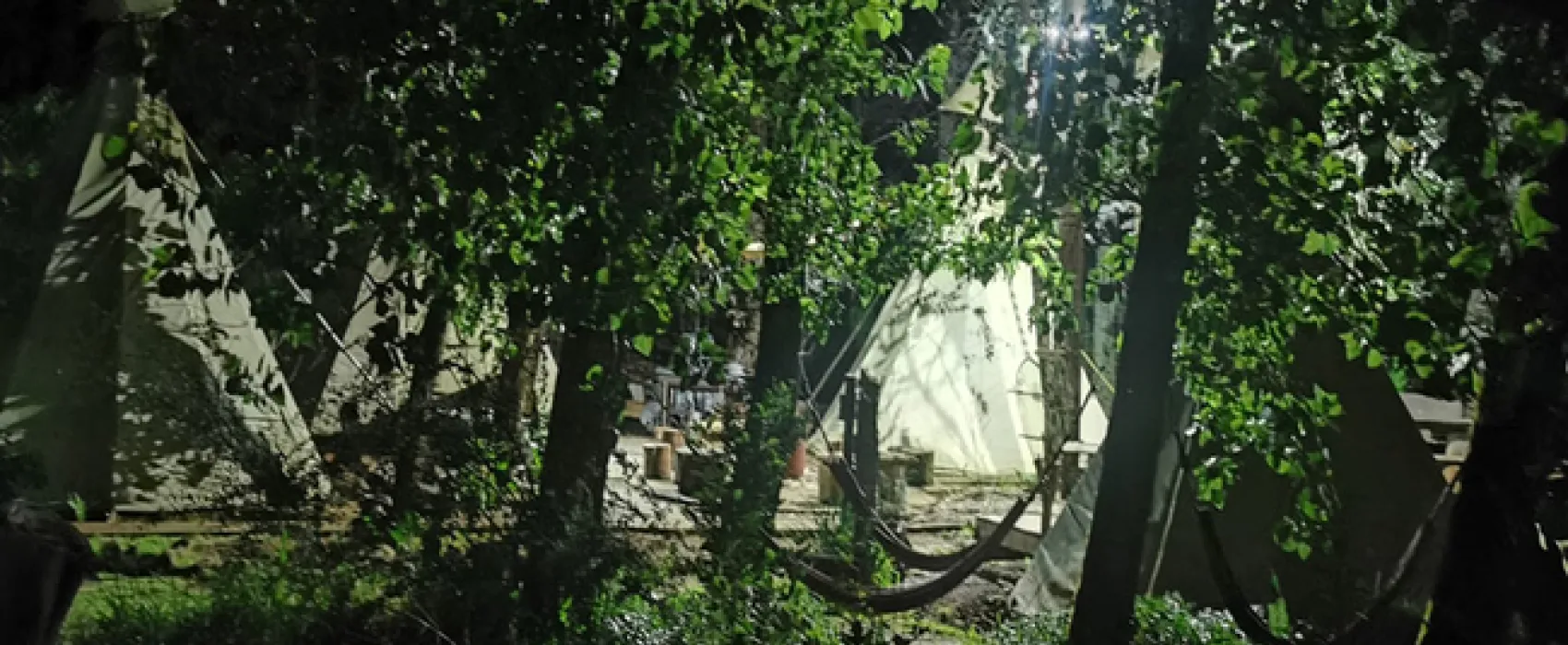 Nguni Moon Tepee Camp