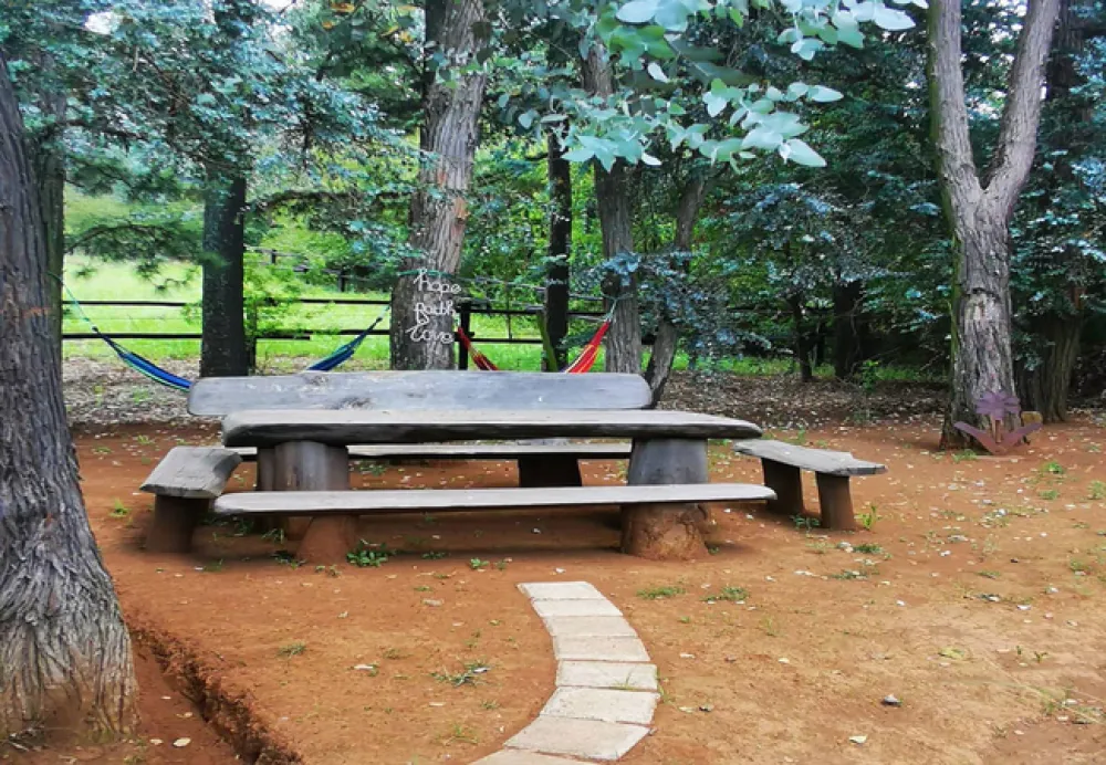 Nguni Moon Tepee Camp