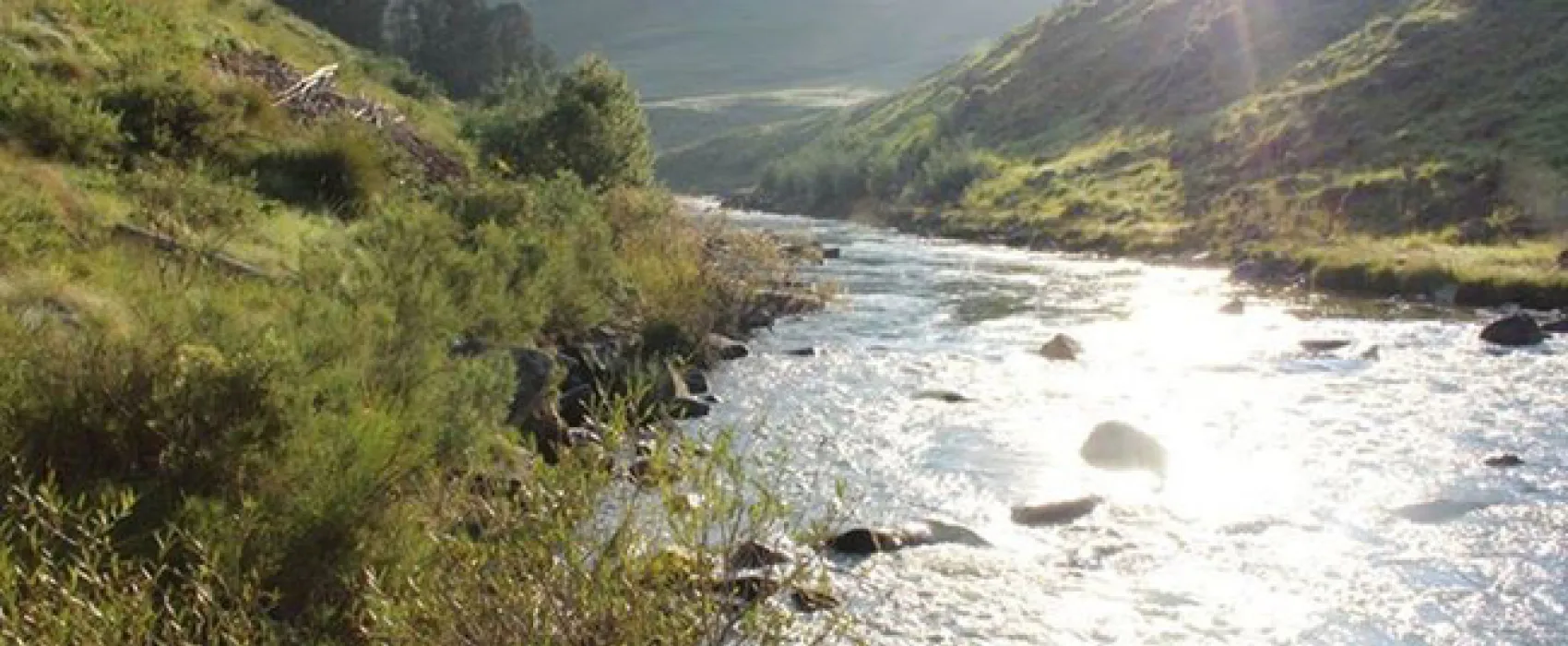 Nguni Moon Tepee Camp