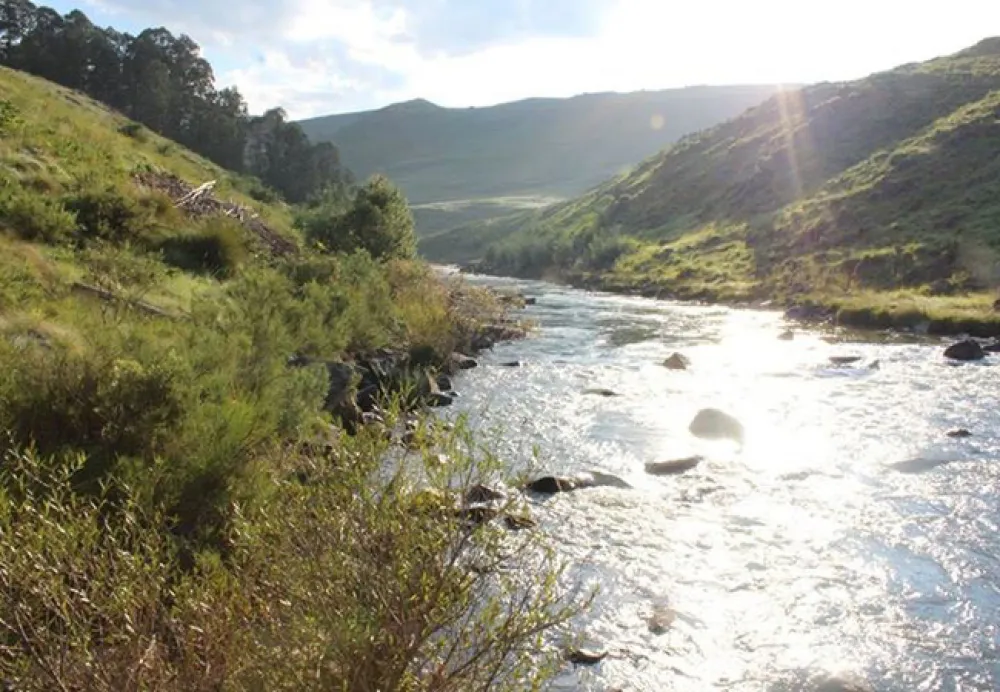 Nguni Moon Tepee Camp