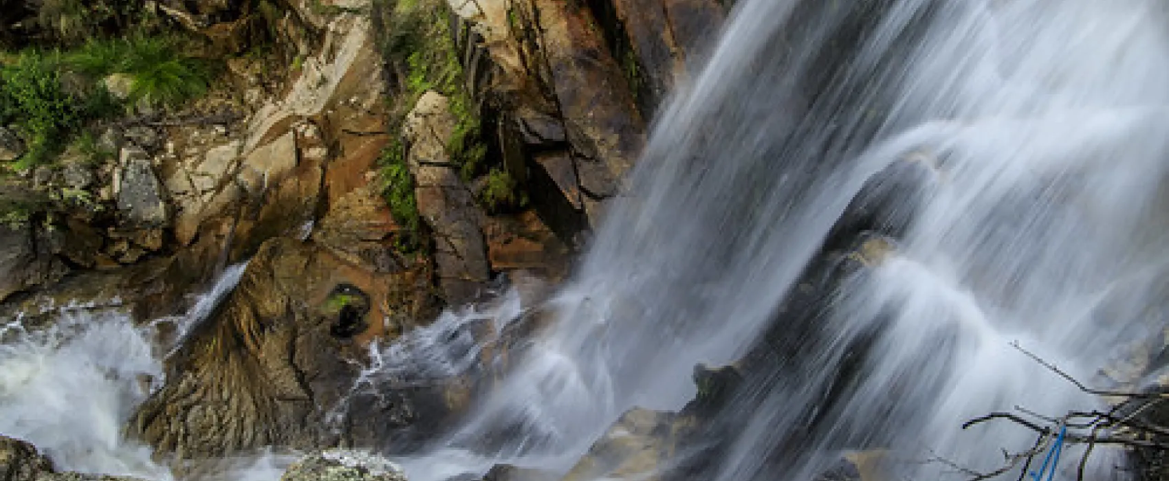 Woods Reserve Campground