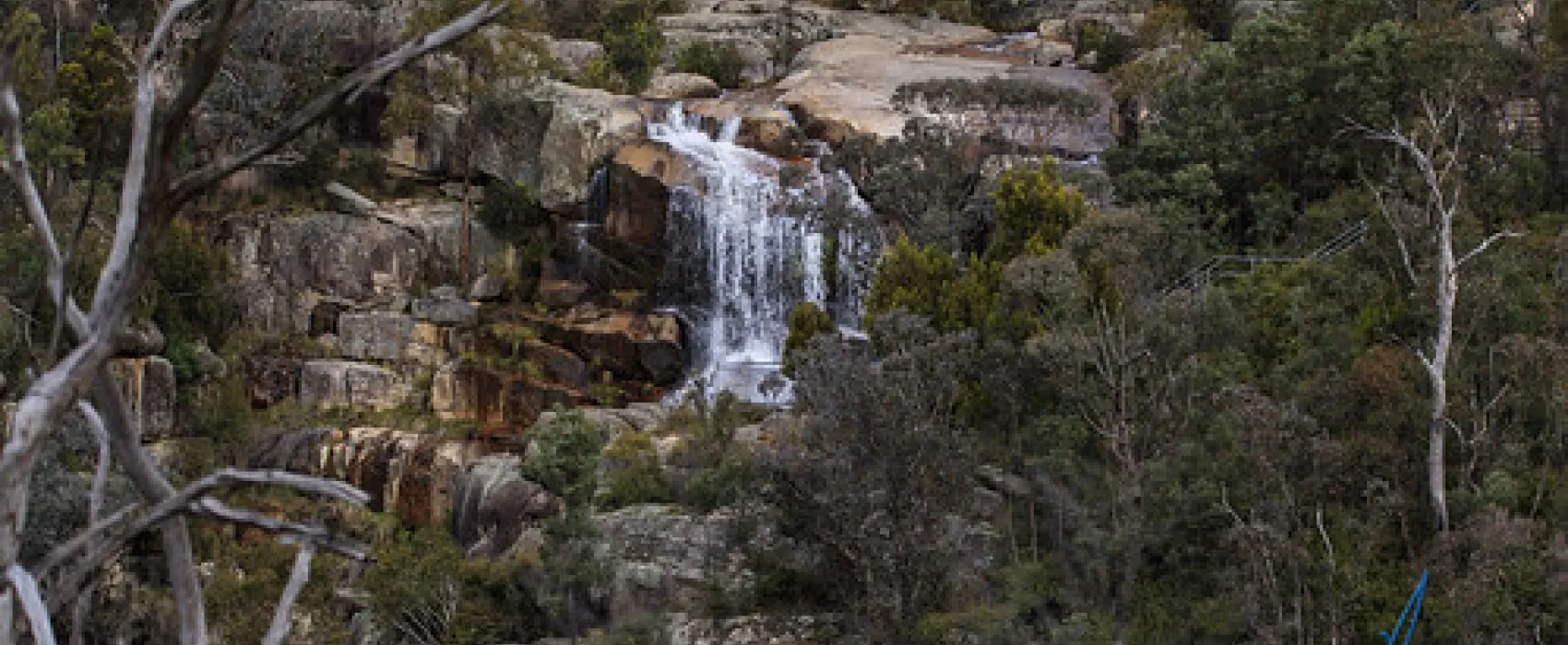 Woods Reserve Campground