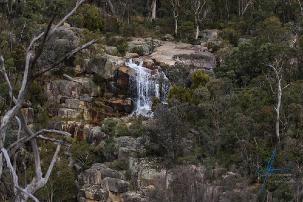Woods Reserve Campground