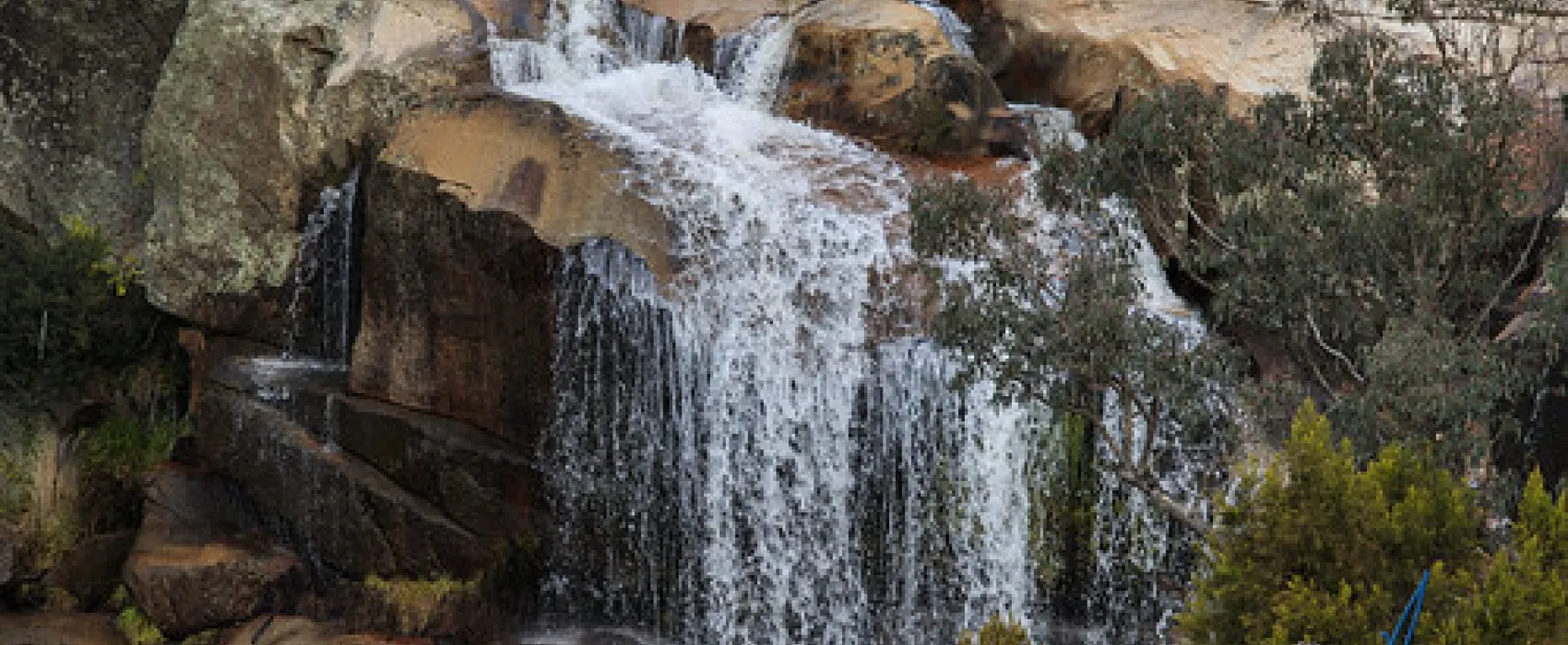 Woods Reserve Campground