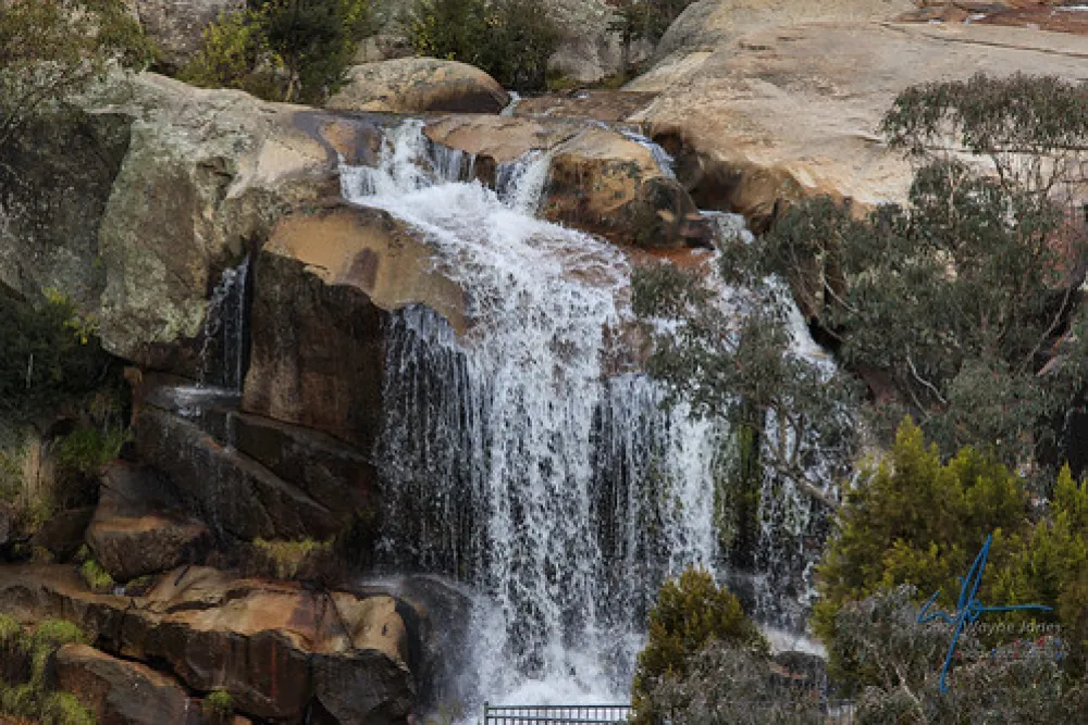 Woods Reserve Campground