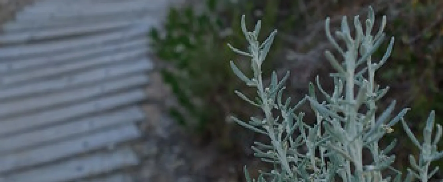 42 Mile Crossing Campground