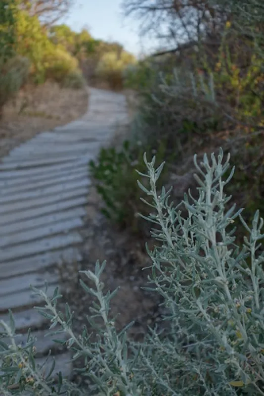 42 Mile Crossing Campground