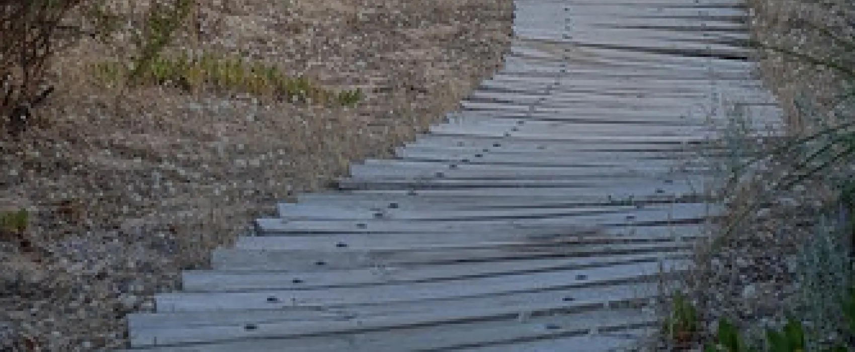 42 Mile Crossing Campground